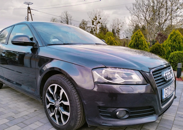 Audi A3 cena 16900 przebieg: 320000, rok produkcji 2008 z Karczew małe 466